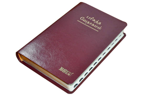 Tamil Bible OV 55 TI Black/Burgundy
