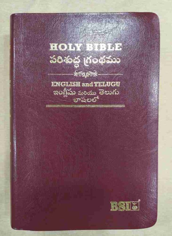 Telugu English Royal Diglot Bible - Image 2