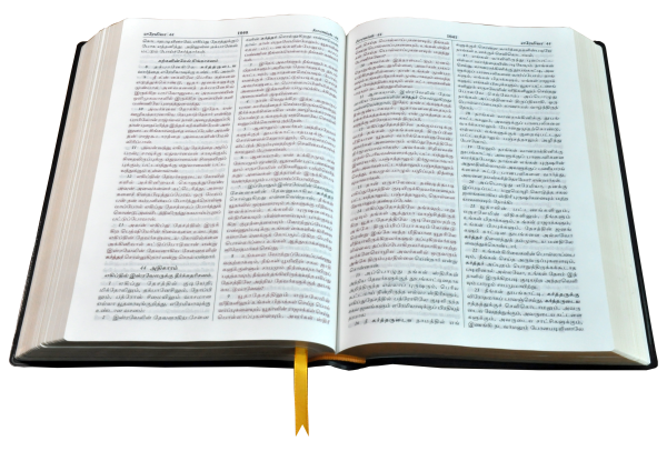 Tamil Bible Royal Plus - Image 3