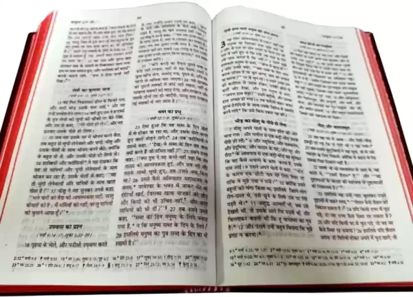 Hindi Bible OV Re-ed Dy PL Gilt Edge Red Letter Yapp - Image 2