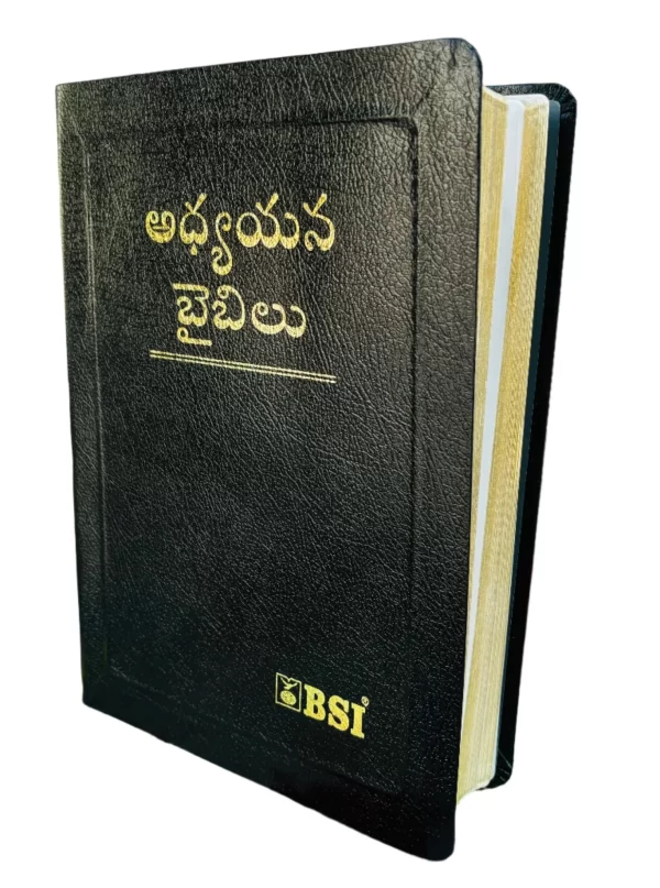 [9788122139877] Telugu Study Bible BL Gilt Royal Yapp