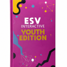 ESV INTERACTIVE YOUTH EDITION (PINK)