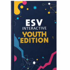 ESV INTERACTIVE YOUTH EDITION (BLUE)